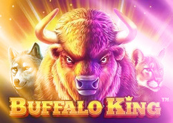 Buffalo King